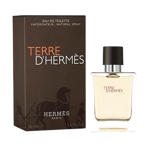 Hermès - Terre d' Hermes Eau de Toilette 100ml (Scatolato) in Size 100ml